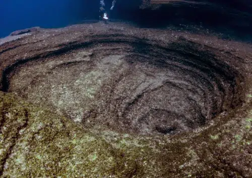 Deep-sea volcanoes have revealed the discovery of new creatures.