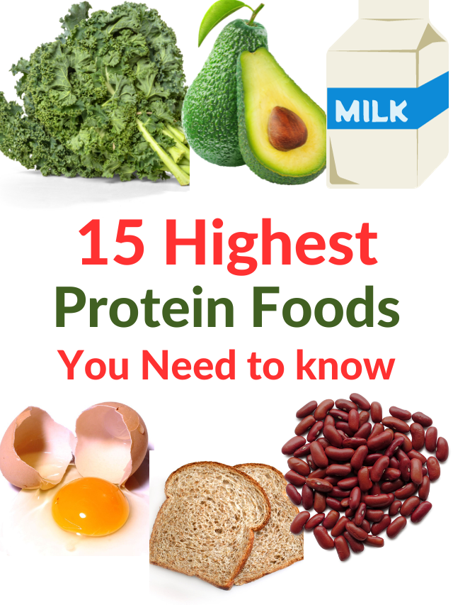 15 Highest Protein Foods In The World You need to know.