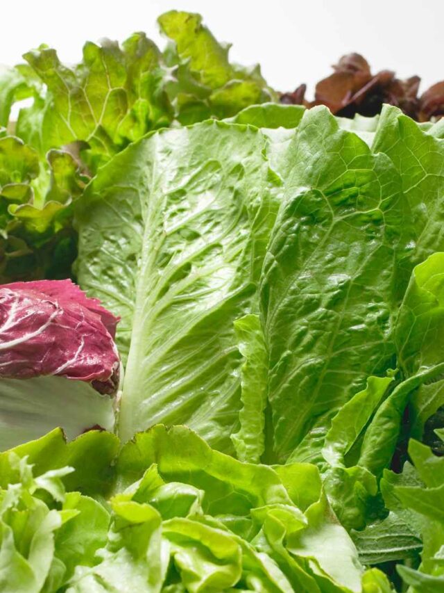 10 Most Nutritious Leafy Greens