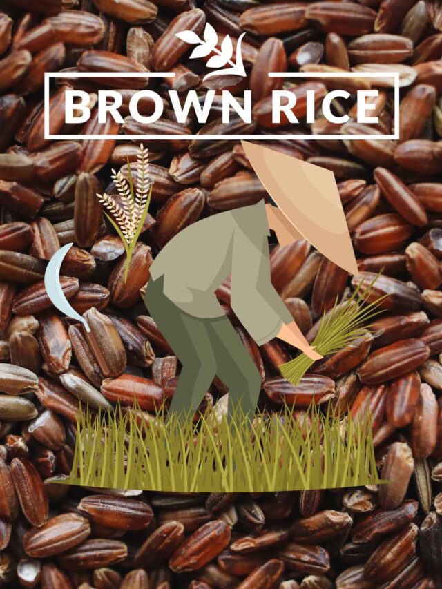 Brown Rice: The Superfood Secret to Healthier Living!